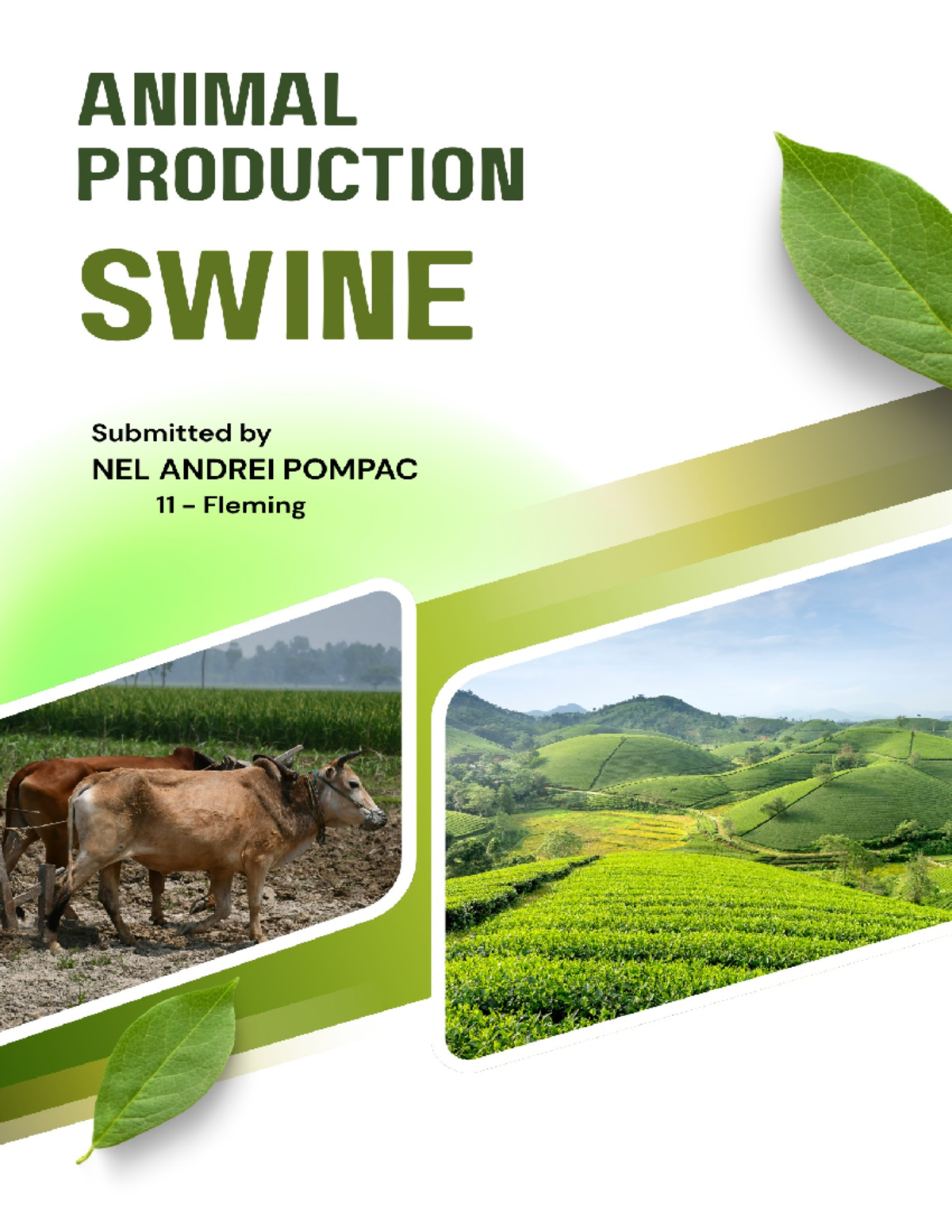 AP Swine - Heat Detection Techniques and Management Practices - Studocu