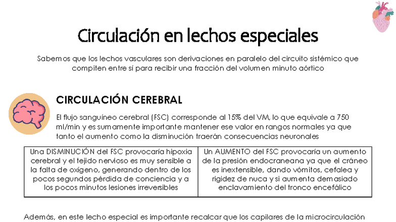 CIRCULACIÓN CEREBRAL Y REGULACIÓN DEL FLUJO SANGUÍNEO - 052373 - Studocu