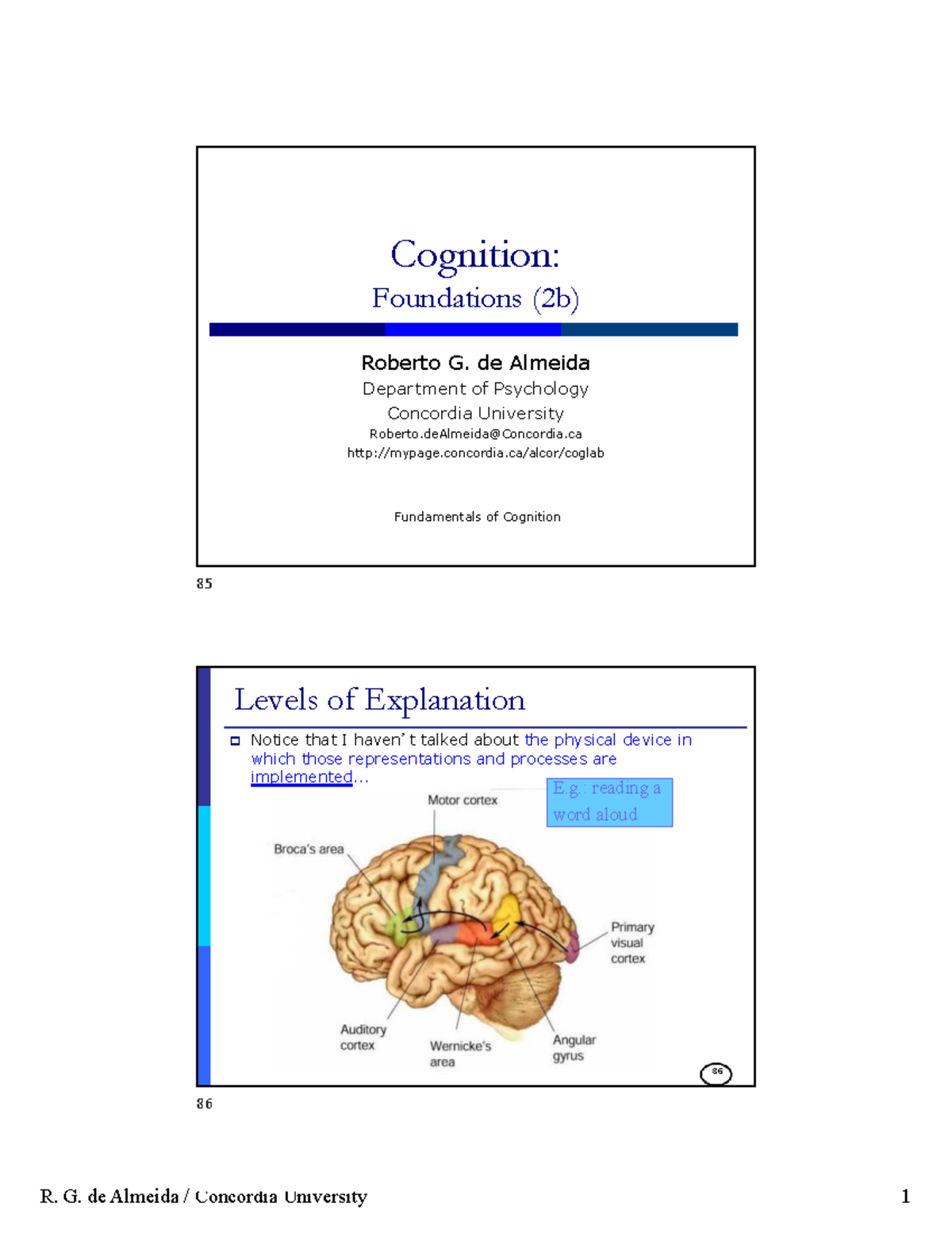 Psyc 364: Cognition Fundamentals - Chapter 3 Overview - Studocu