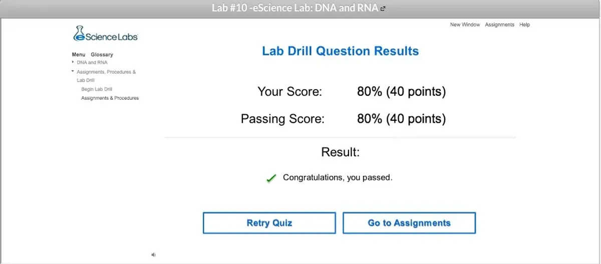 DNA and RNA Lab Report - Pre and Post Lab Analysis - Studocu