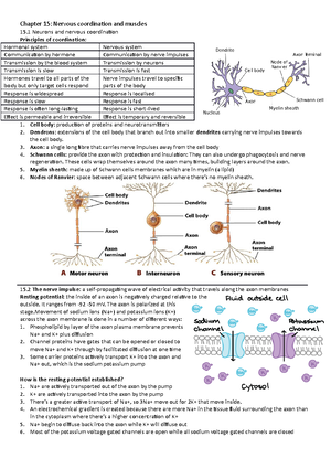 Evidence supporting the Chemiosmotic Theory - [1][2] This theory was ...