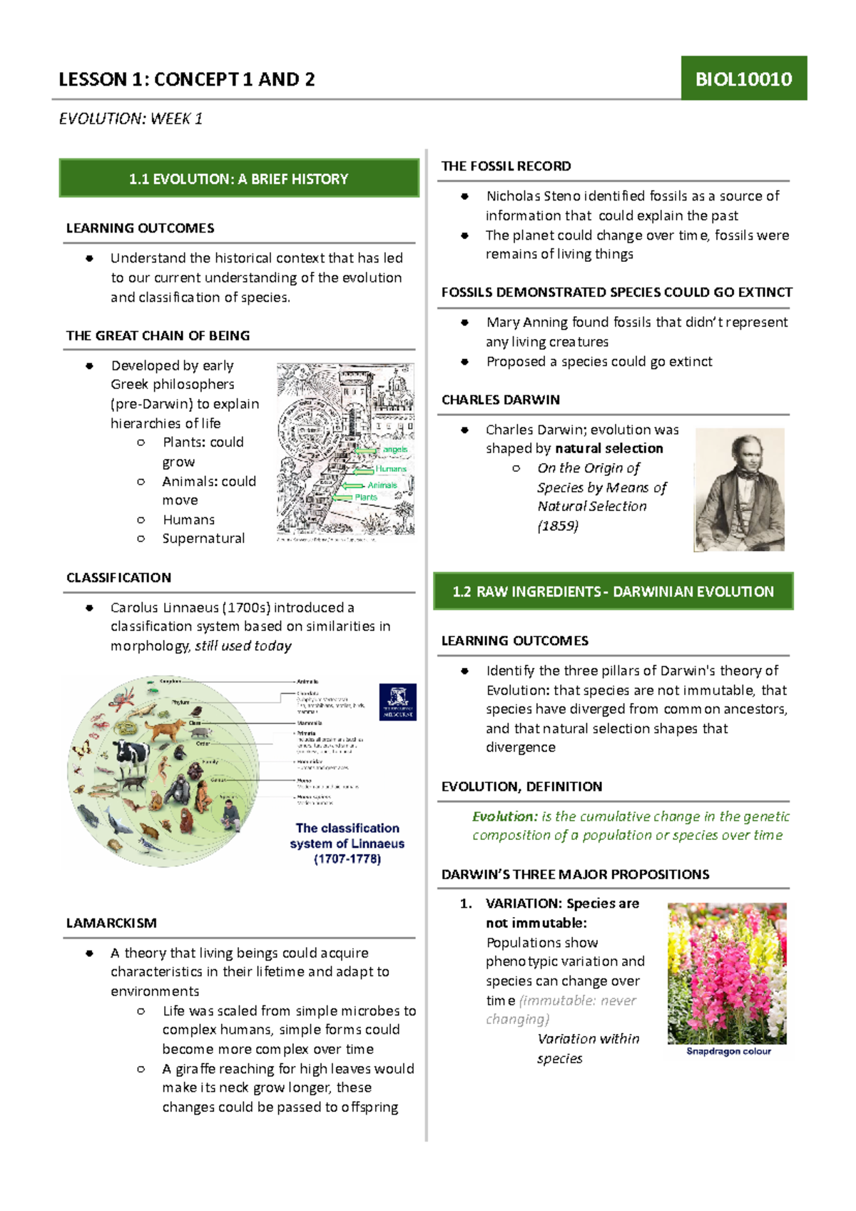 W1 evolution - Google Docs - LESSON 1: CONCEPT 1 AND 2 BIOL EVOLUTION ...