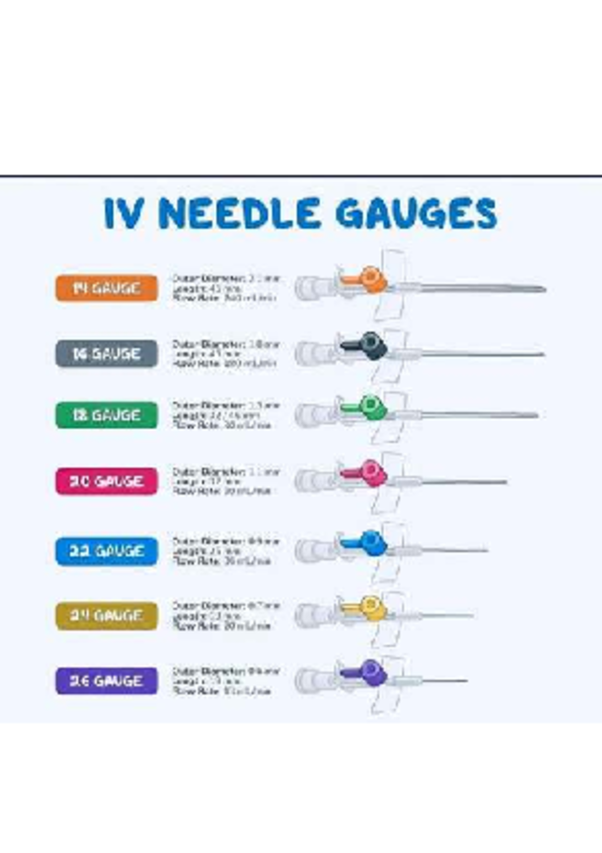 IV Needle Gauges & Cranial Nerves Overview for Nursing Exam - Studocu