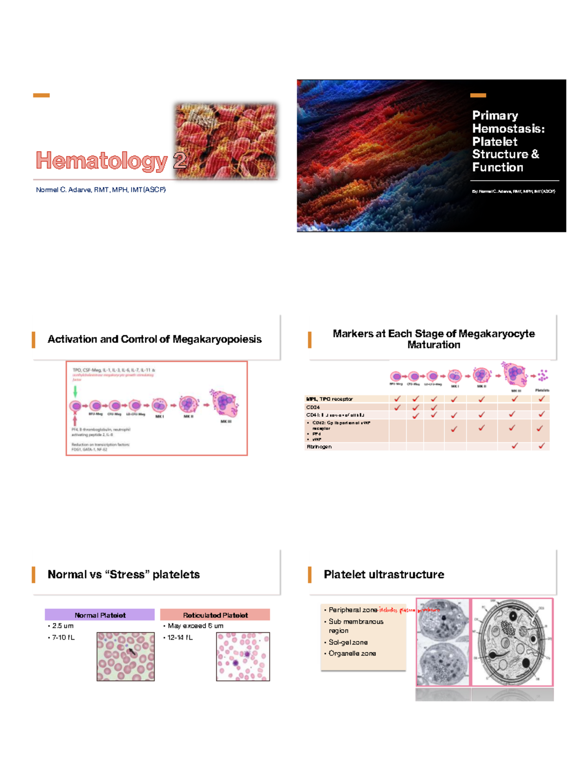 Hema Part 3 10-12pm - lecture notes 999 - Hematology 2 Normel C. Adarve ...