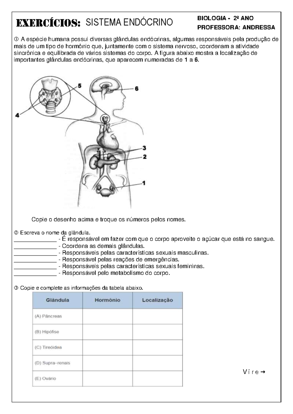 Exercícios sobre o Sistema Endócrino - Biologia 2º Ano - Studocu