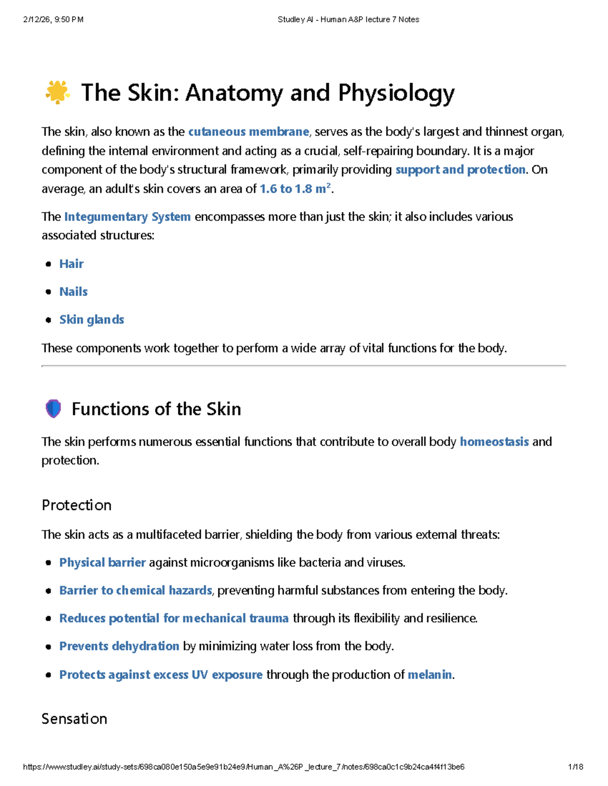 Human A&P Lecture 7 Notes: The Skin's Anatomy & Functions - Studocu