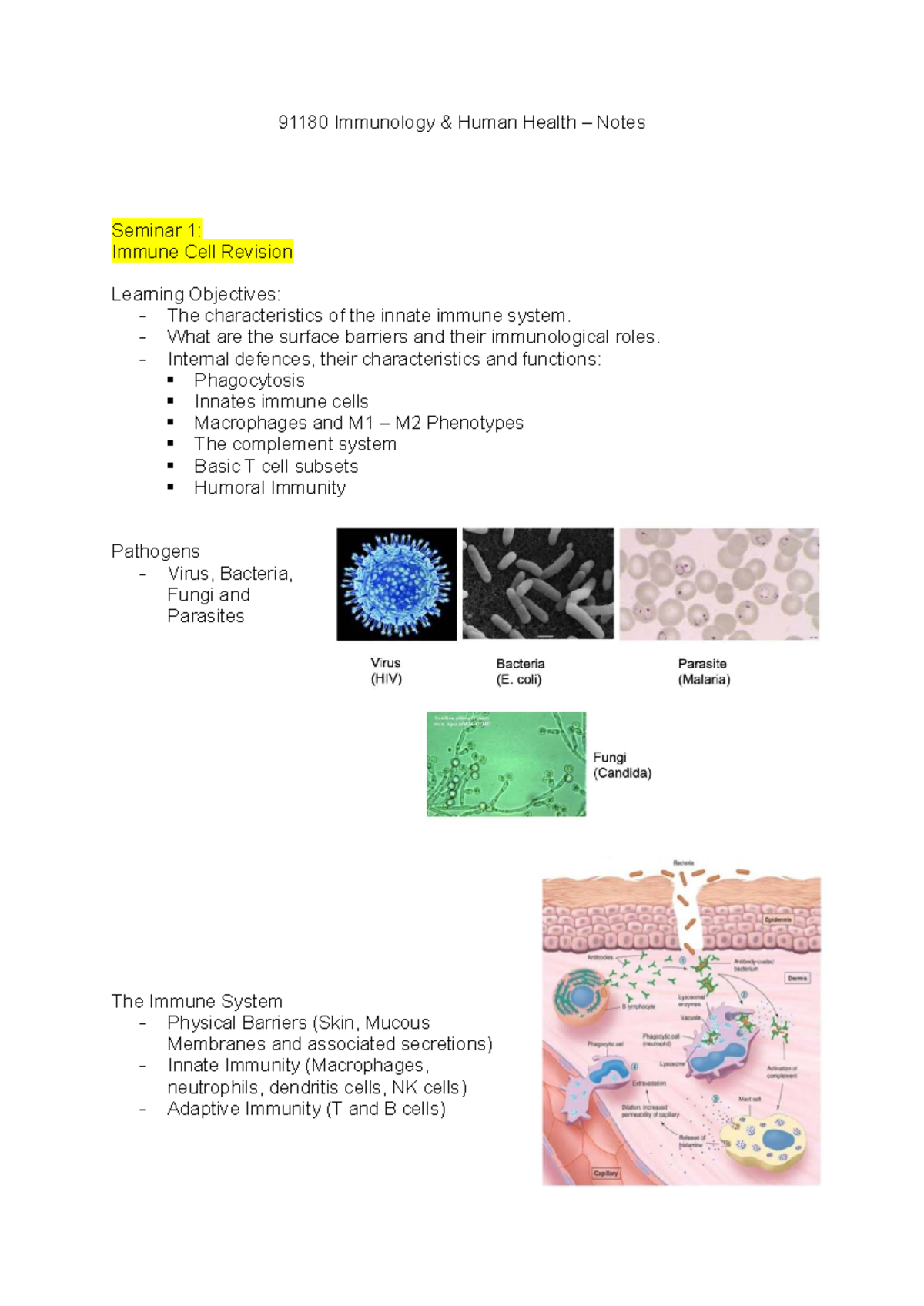 91180 Immunology Seminar 1: Immune Cell Characteristics & Functions ...