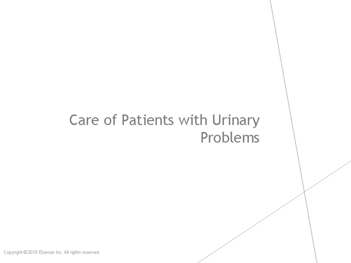 Care of Patients with Urinary Problems: UTI & Incontinence Management ...