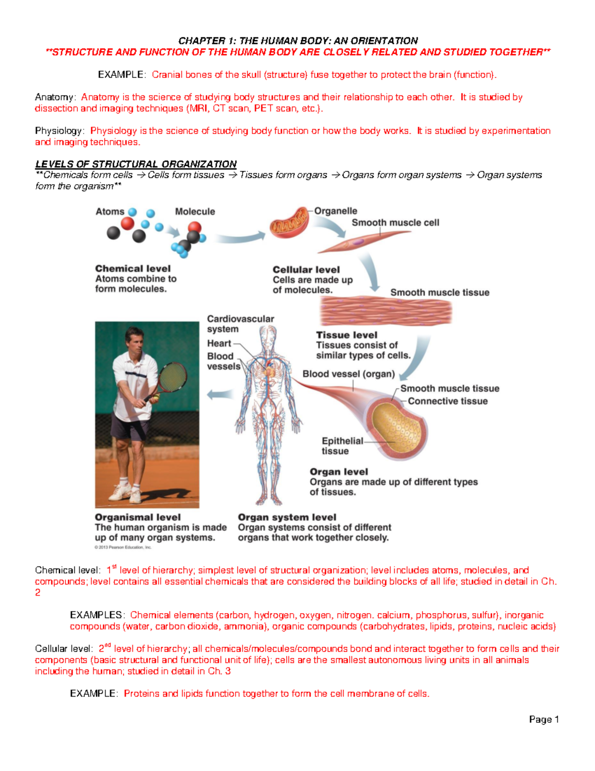 Ch. 1 Lecture Outline: Orientation & Function of the Human Body - Studocu