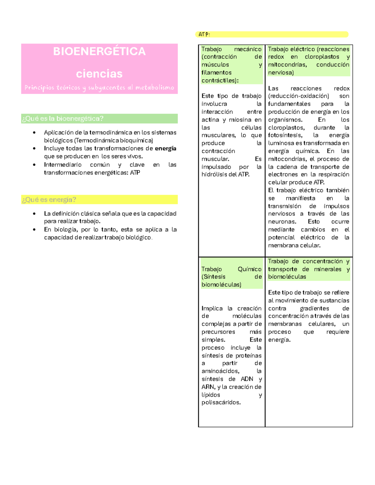Bioenergética: Resumen de Conceptos Clave y Metabolismo (BIO-101) - Studocu