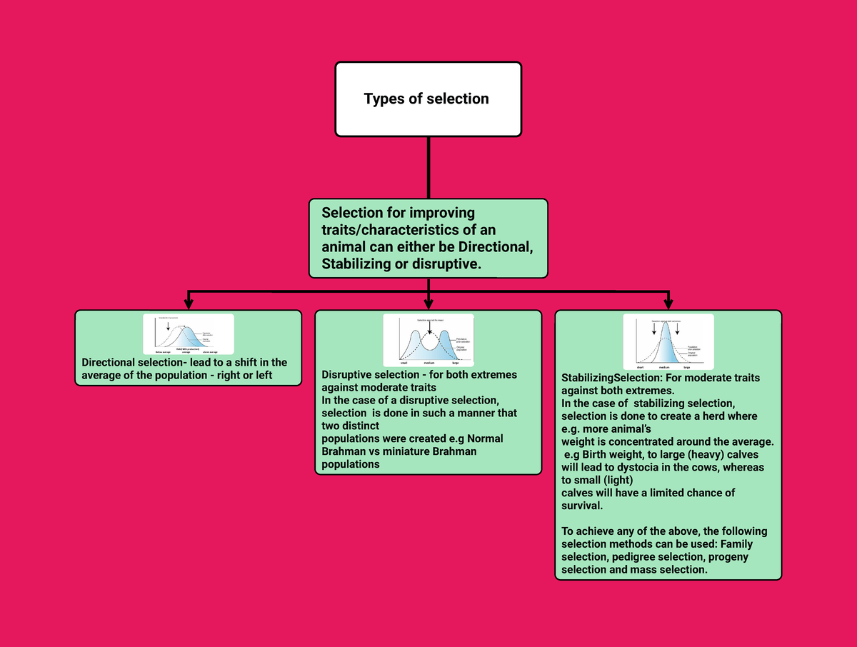 Types of Selection: Directional, Stabilizing, and Disruptive 202430 ...