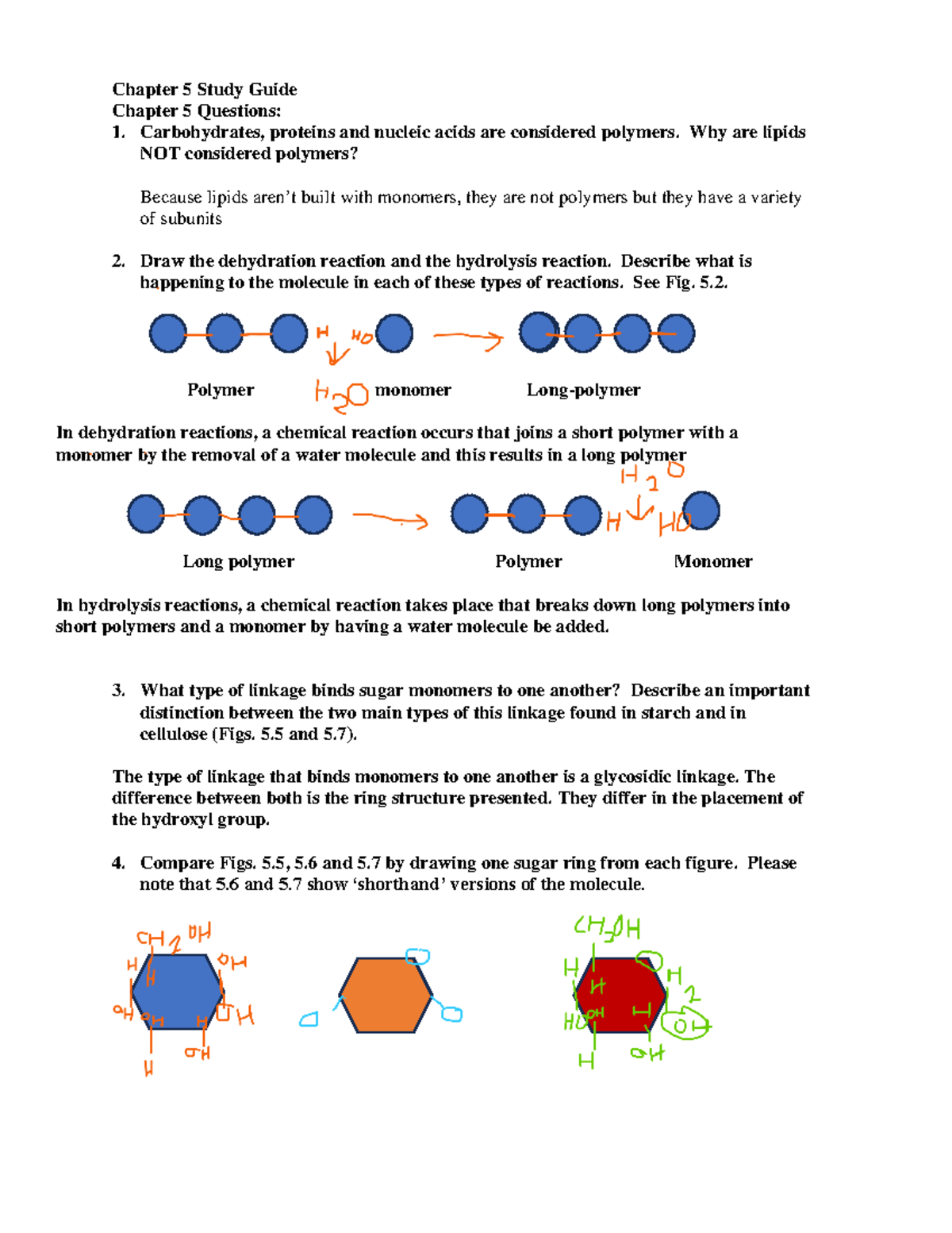 Chapter 5 study guide updated 8-25-23 - Chapter 5 Study Guide Chapter 5 ...