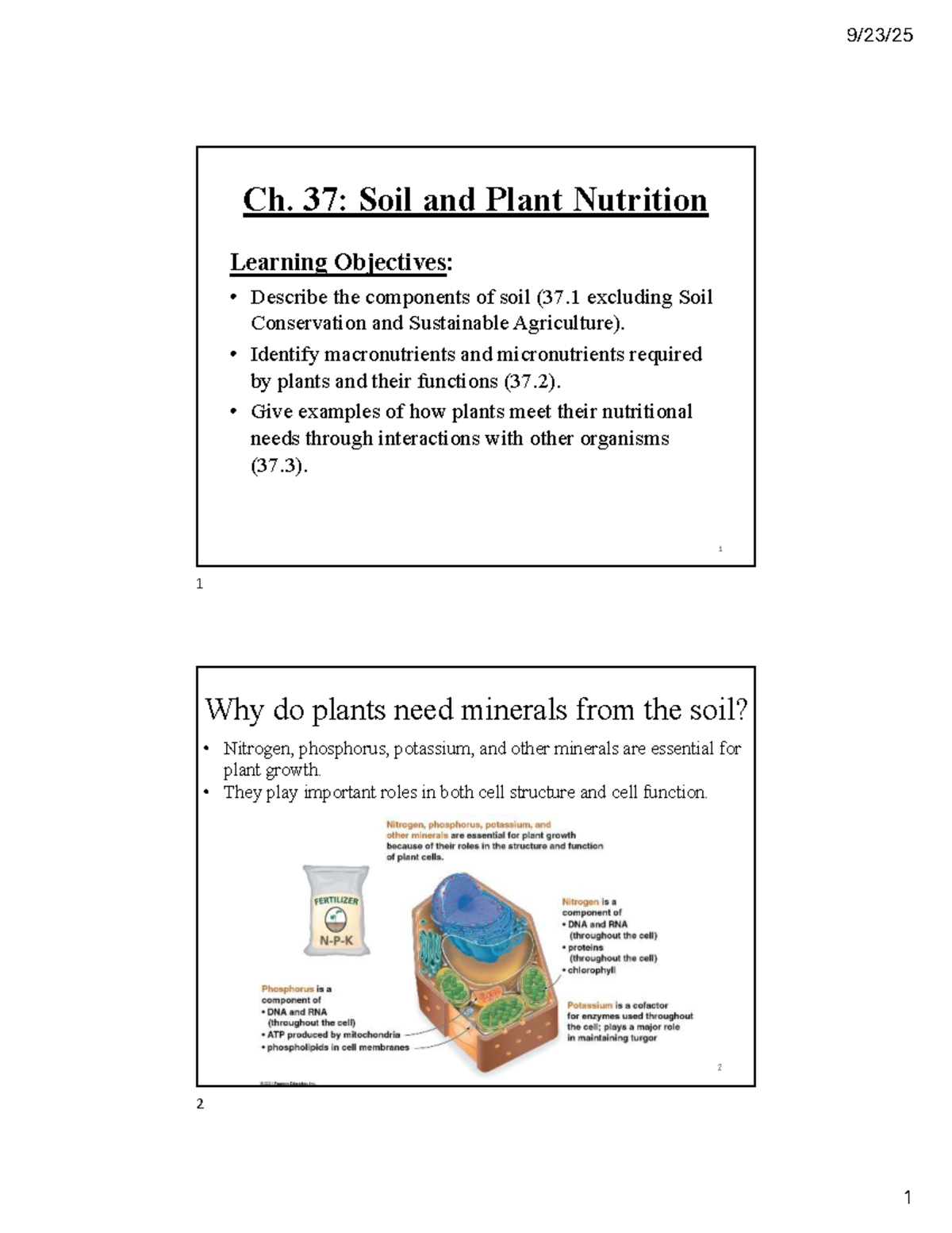 BY 124 Ch. 37: Soil and Plant Nutrition - Fall 2025 Study Notes - Studocu