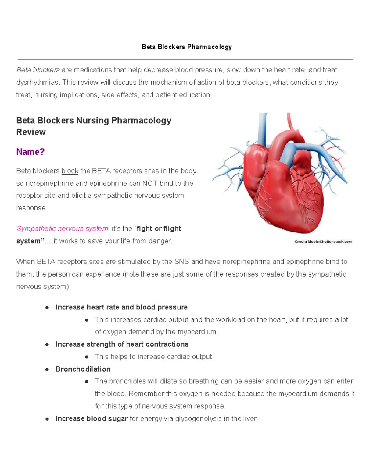 The Only Crypto Story You Need to Understand: Insights by Matt Levine -  Studocu