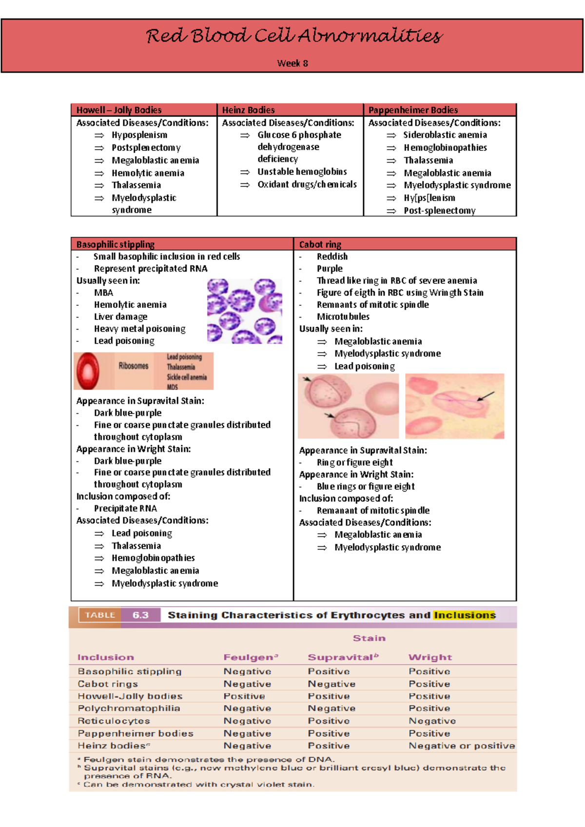 RBC Abnormalities and Inclusions: Week 8 Overview for Hematology 101 ...