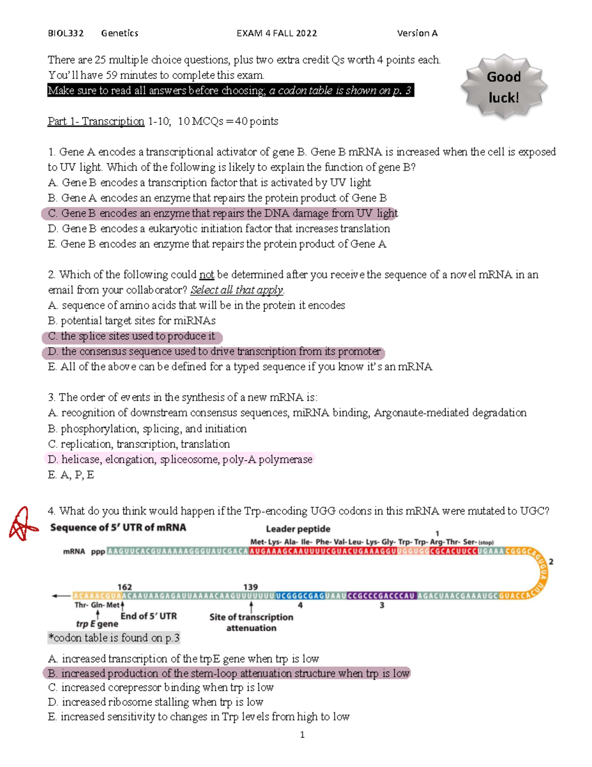 BIOL332 Genetics EXAM 4 FALL 2022 Version A Study Guide - Studocu