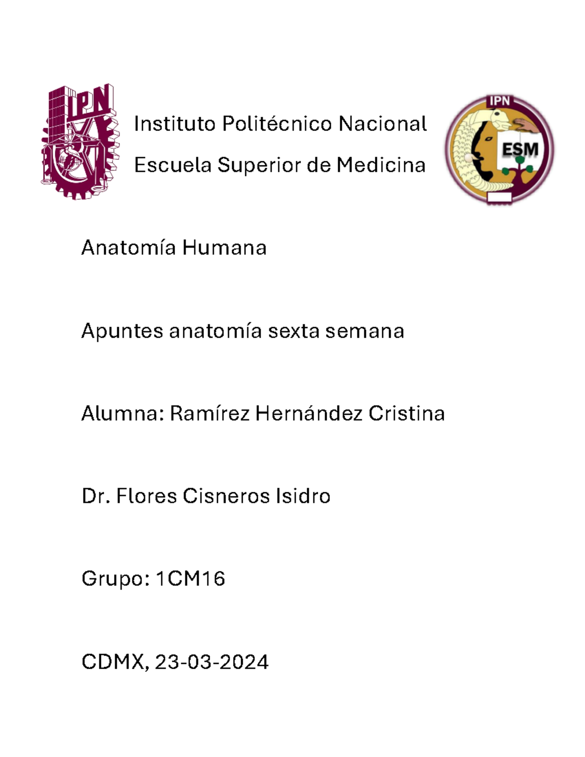 Apuntes 6ta semana RHC - Región glútea y - Anatomía humana - Instituto ...