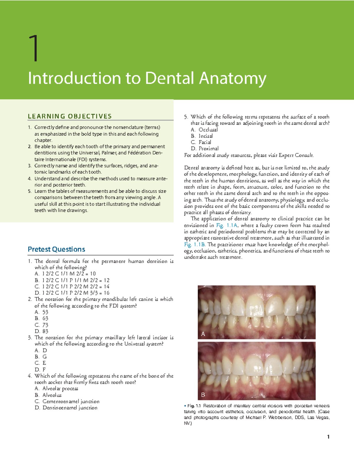 Dental Anatomy Study Guide: Key Concepts & Tooth Classifications - Studocu