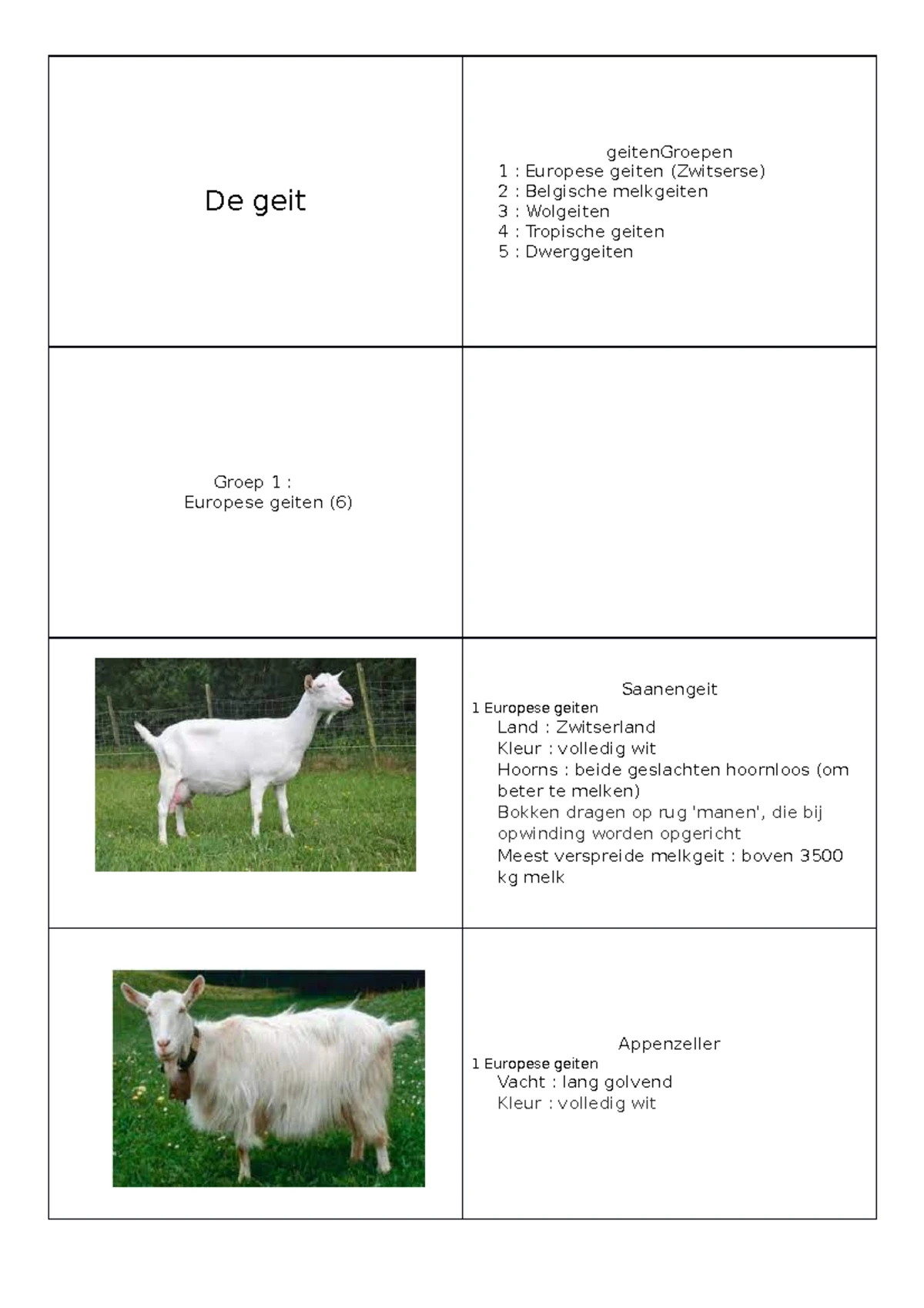 Rassenleer(geit) - flashcards - De geit geitenGroepen 1 : Europese ...