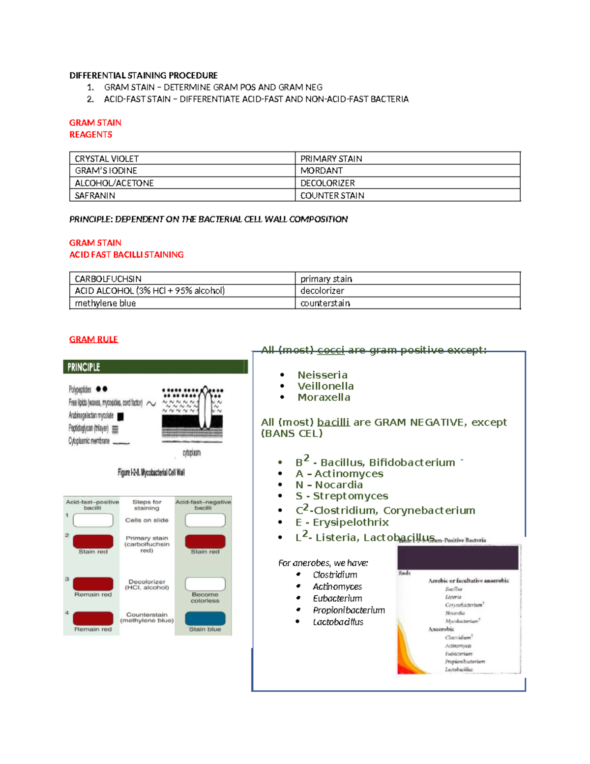 Gs and afb - READ - DIFFERENTIAL STAINING PROCEDURE 1. GRAM STAIN ...