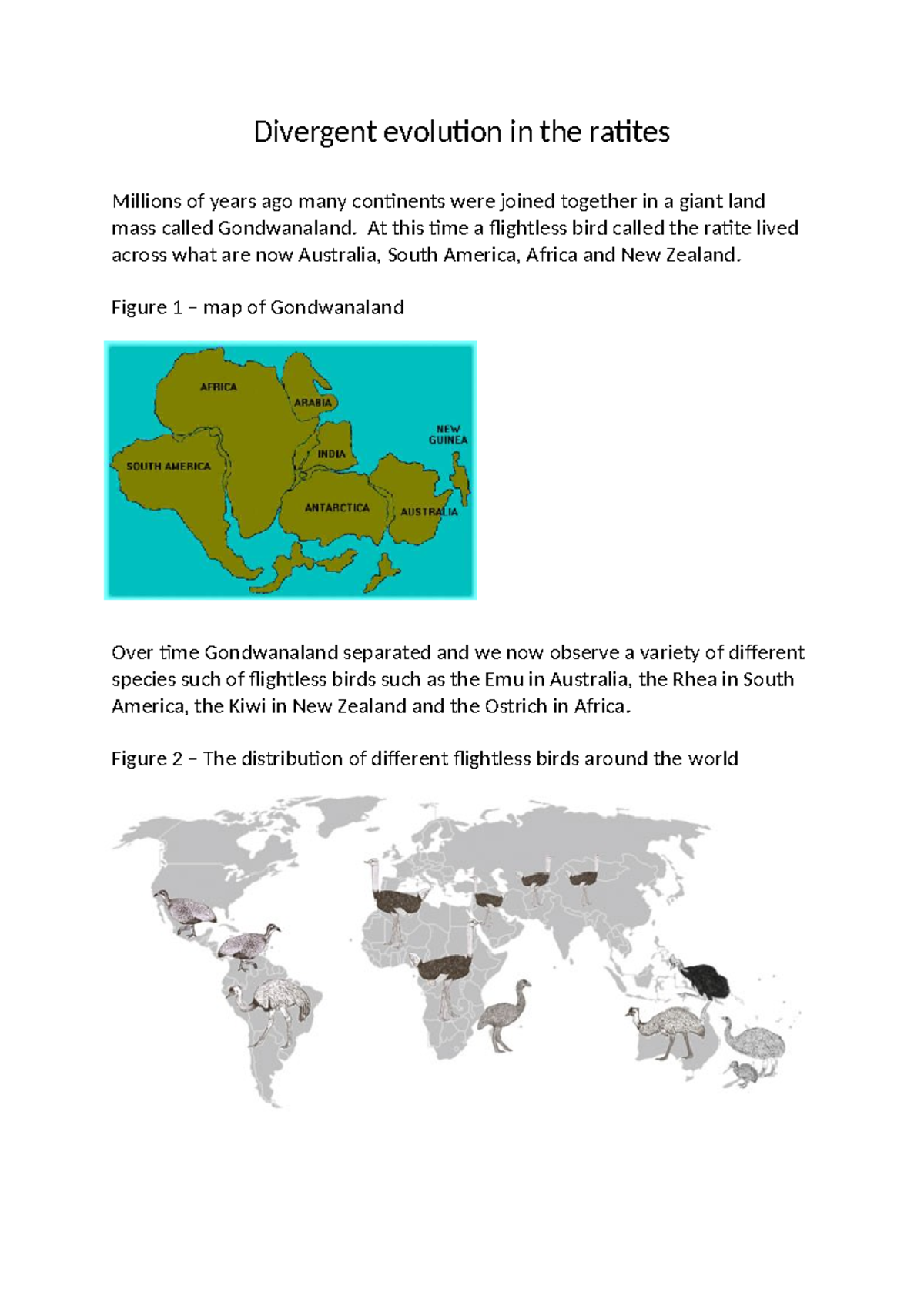 35. Divergent Evolution of Ratites: Insights and Inferences - Studocu