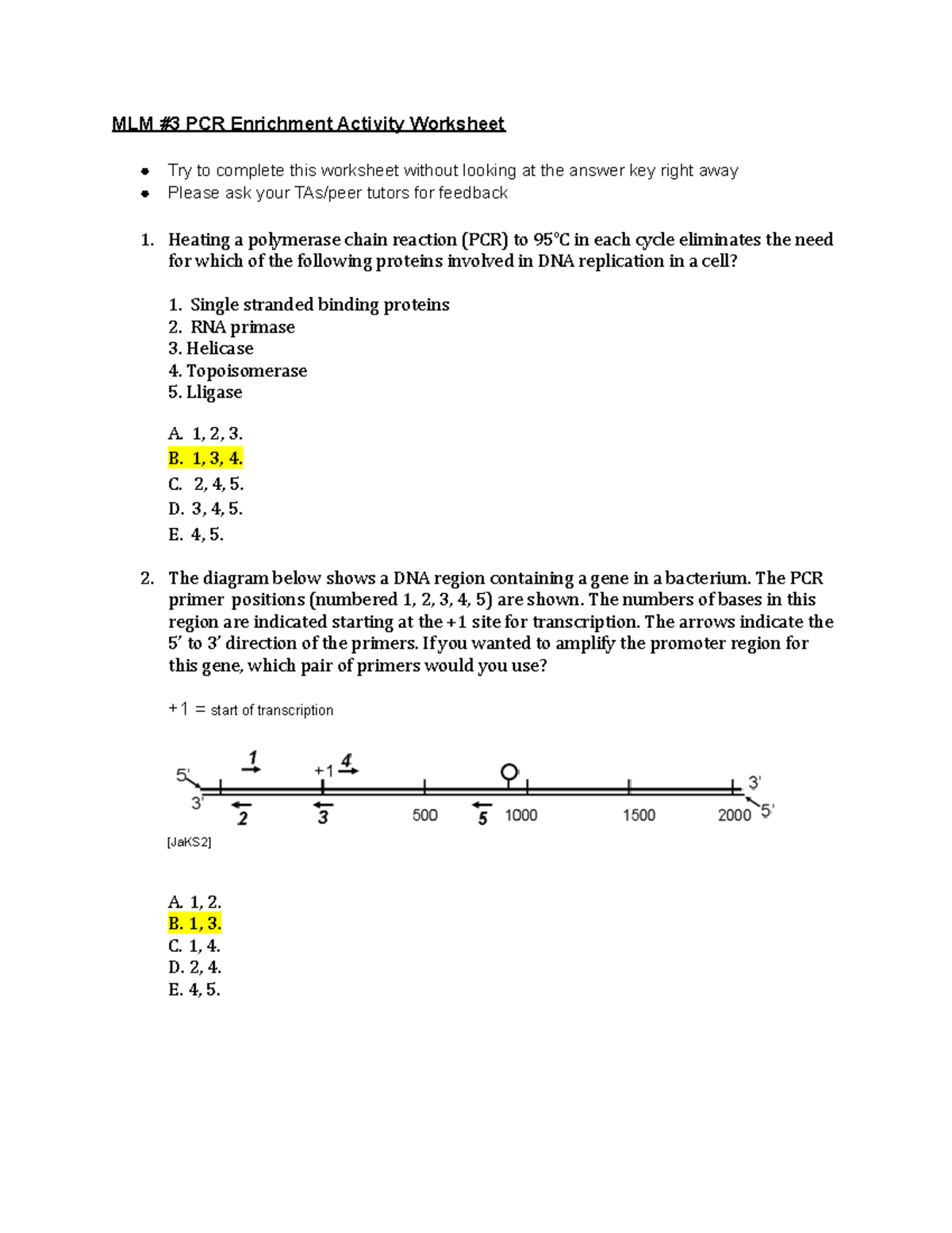 MLM3 Enrichment Activity Answer Key - MLM #3 PCR Enrichment Activity Worksheet Try to complete ...