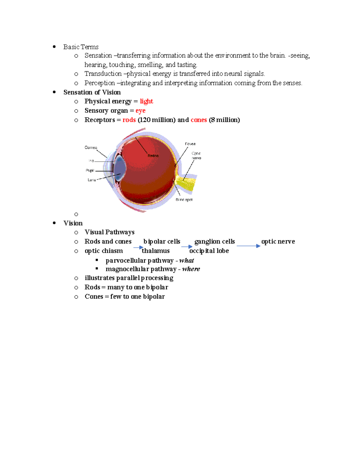 6 Visual Perception - Dr.Khanna - Basic Terms o Sensation –transferring ...