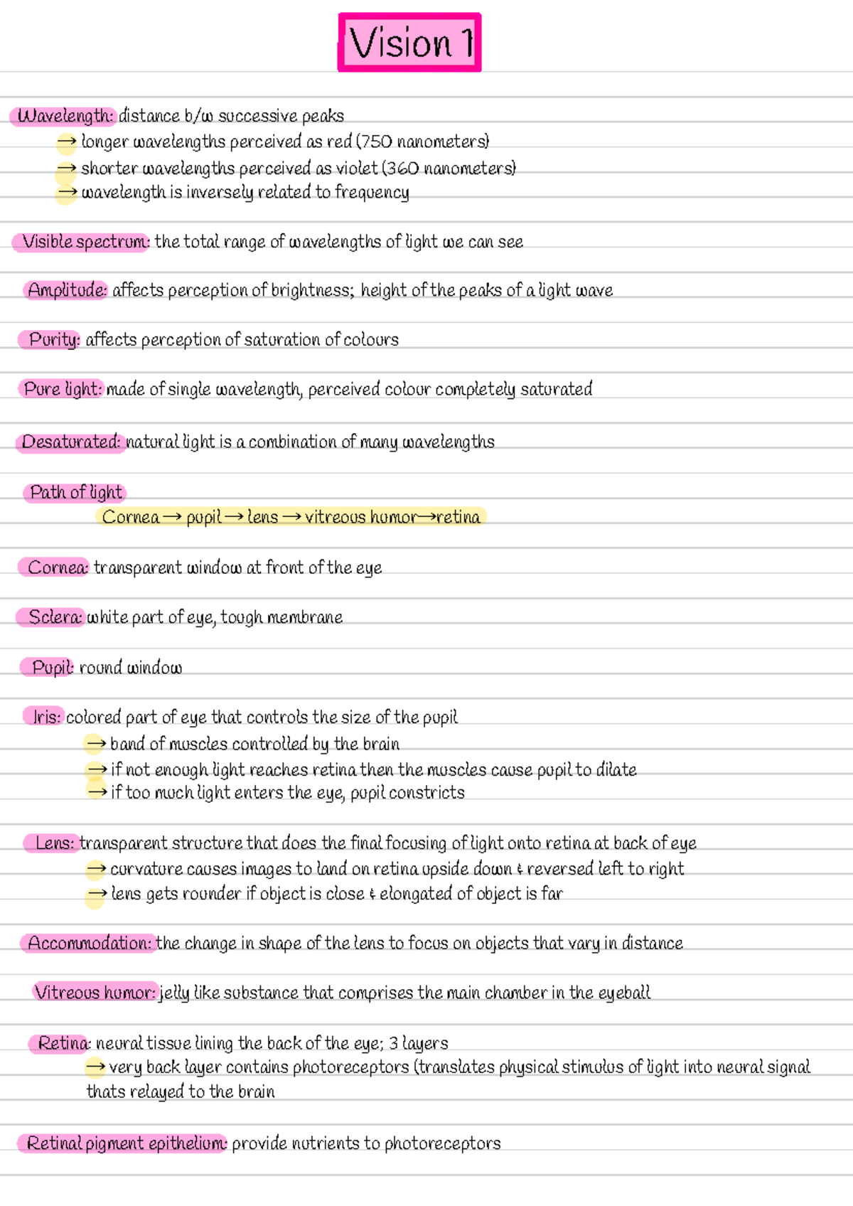 Vision - Lecture Notes on Wavelengths and Eye Anatomy - Studocu