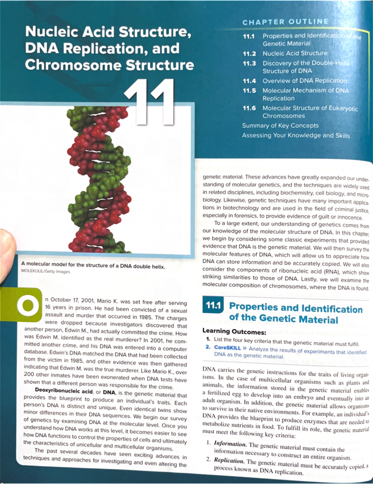 Nucleic Acid Structure, DNA Replication & Chromosome Structure - A ...