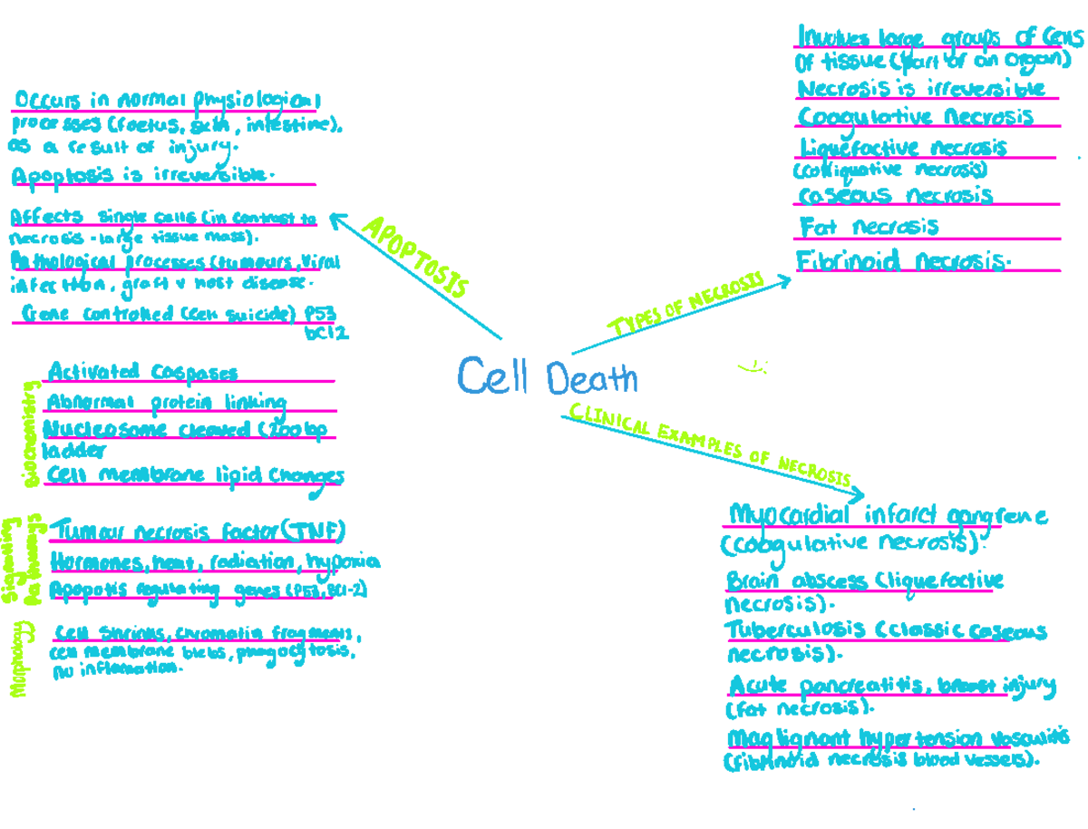 Cell death mind map - Involves large groups ofCe Of tissue part of an ...