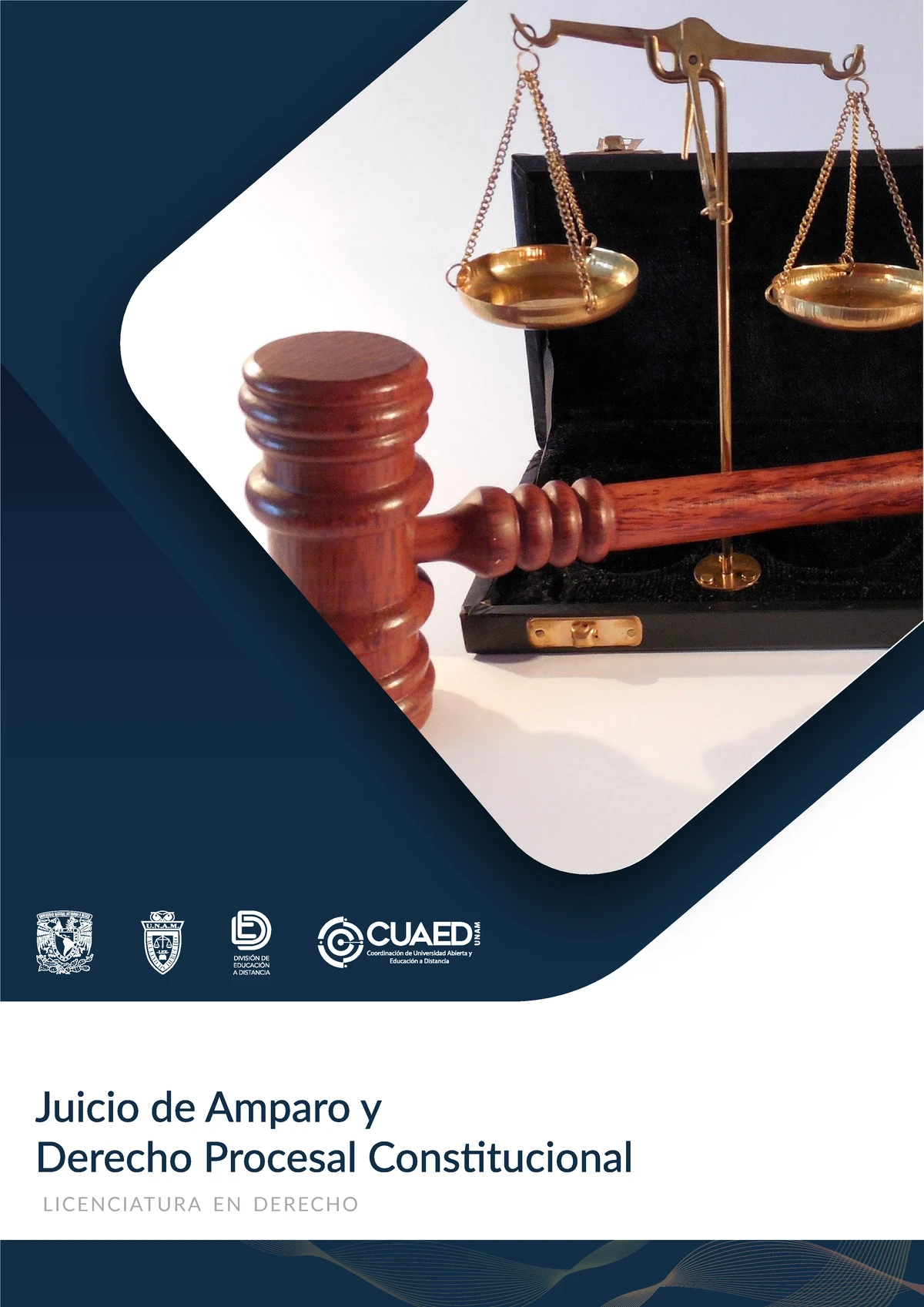 TAREAS de Juicio de Amparo y Derecho Procesal Constitucional (8102 ...