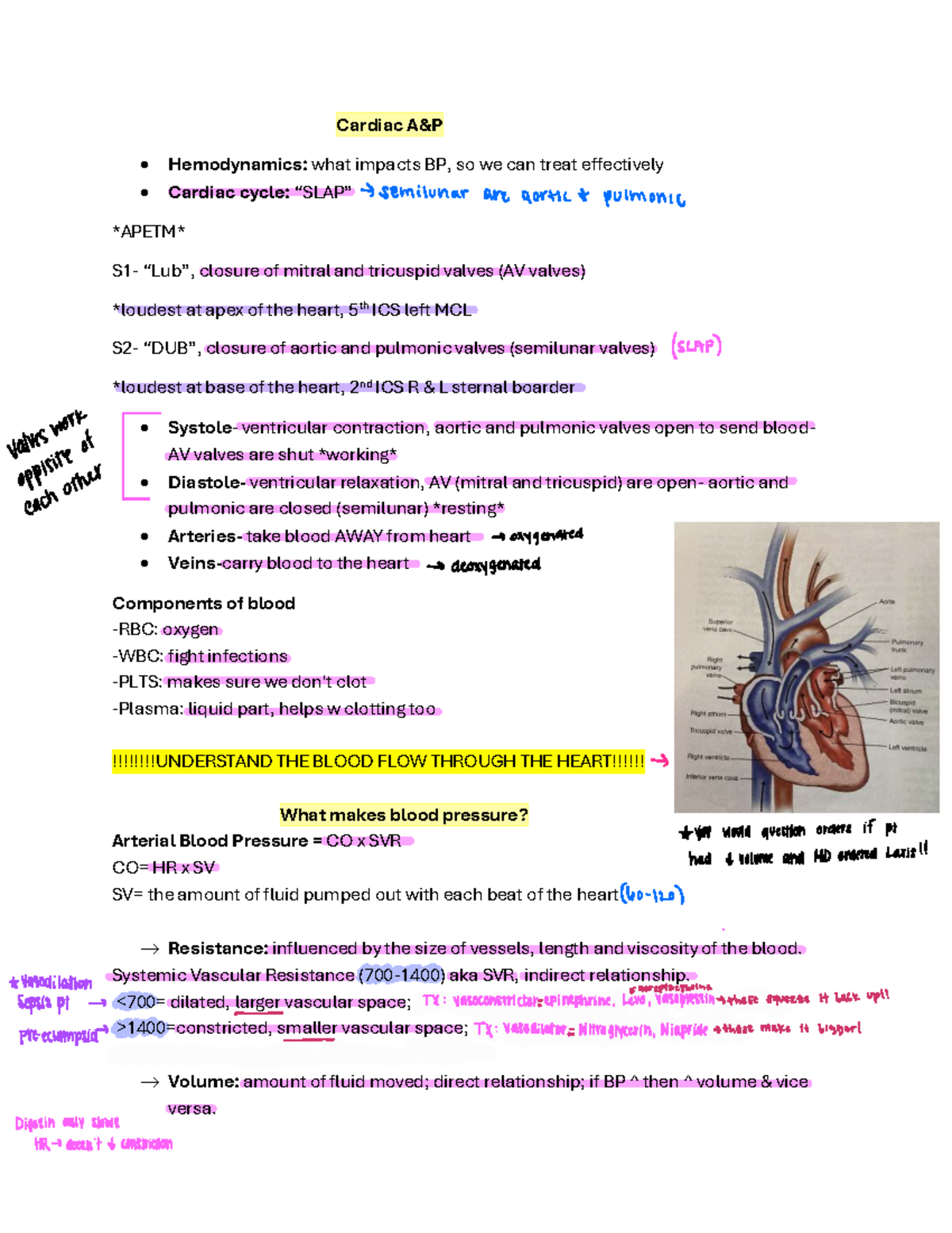 Cardiac Hemodynamics: Understanding Blood Pressure Influences (NUR 601 ...
