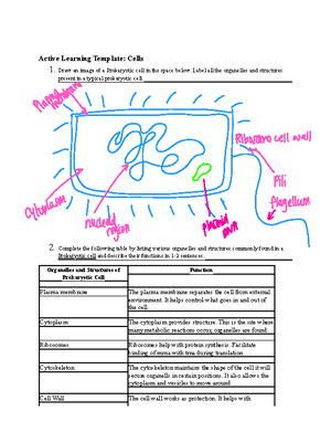 BIOS242 WK3 OL Bacterial Growth Curves - Name: Lab 3: Bacterial Growth ...