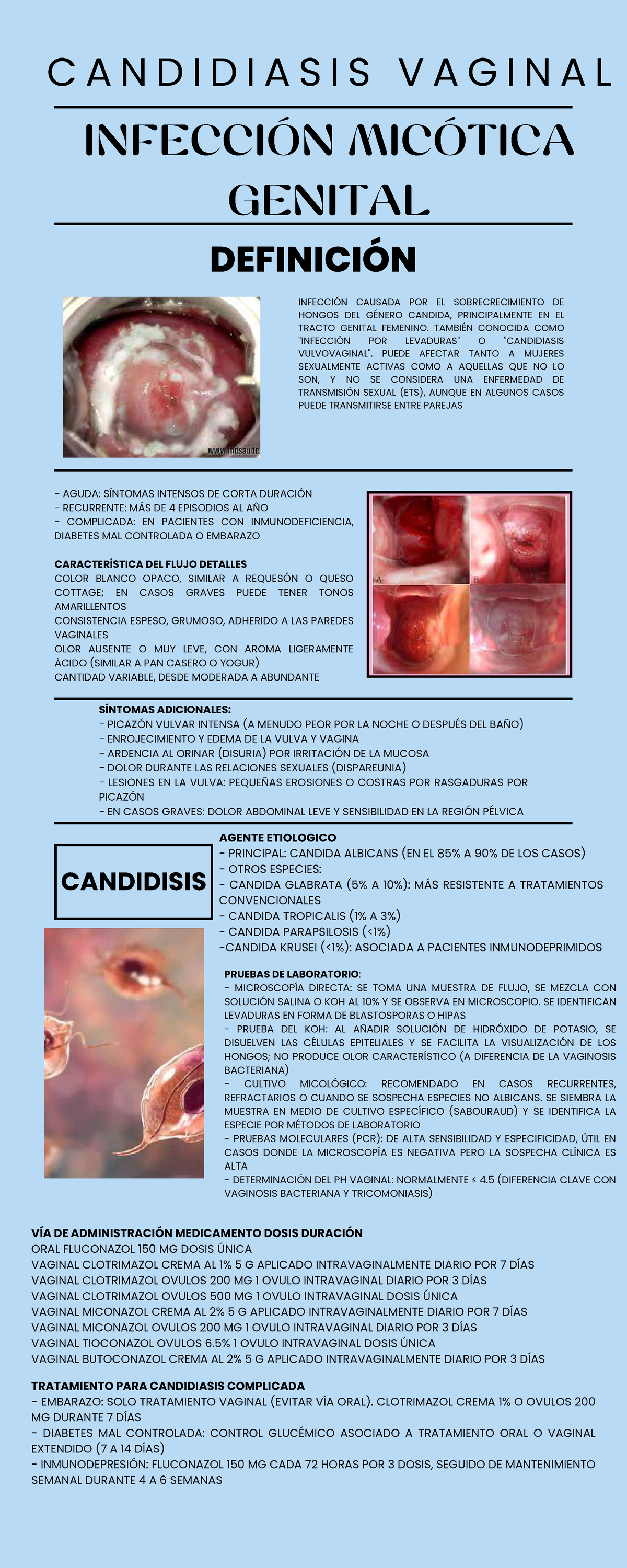 Candidiasis Vaginal Sintomas