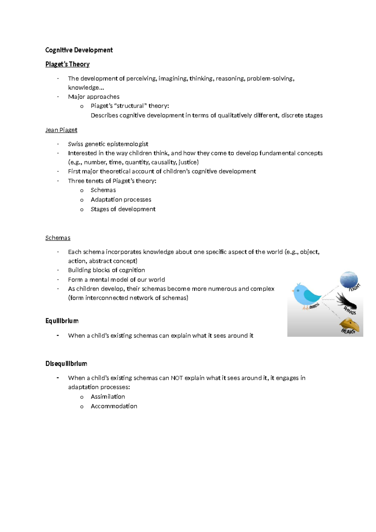 Cognitive Development Theory: Key Concepts and Stages Explained - Studocu