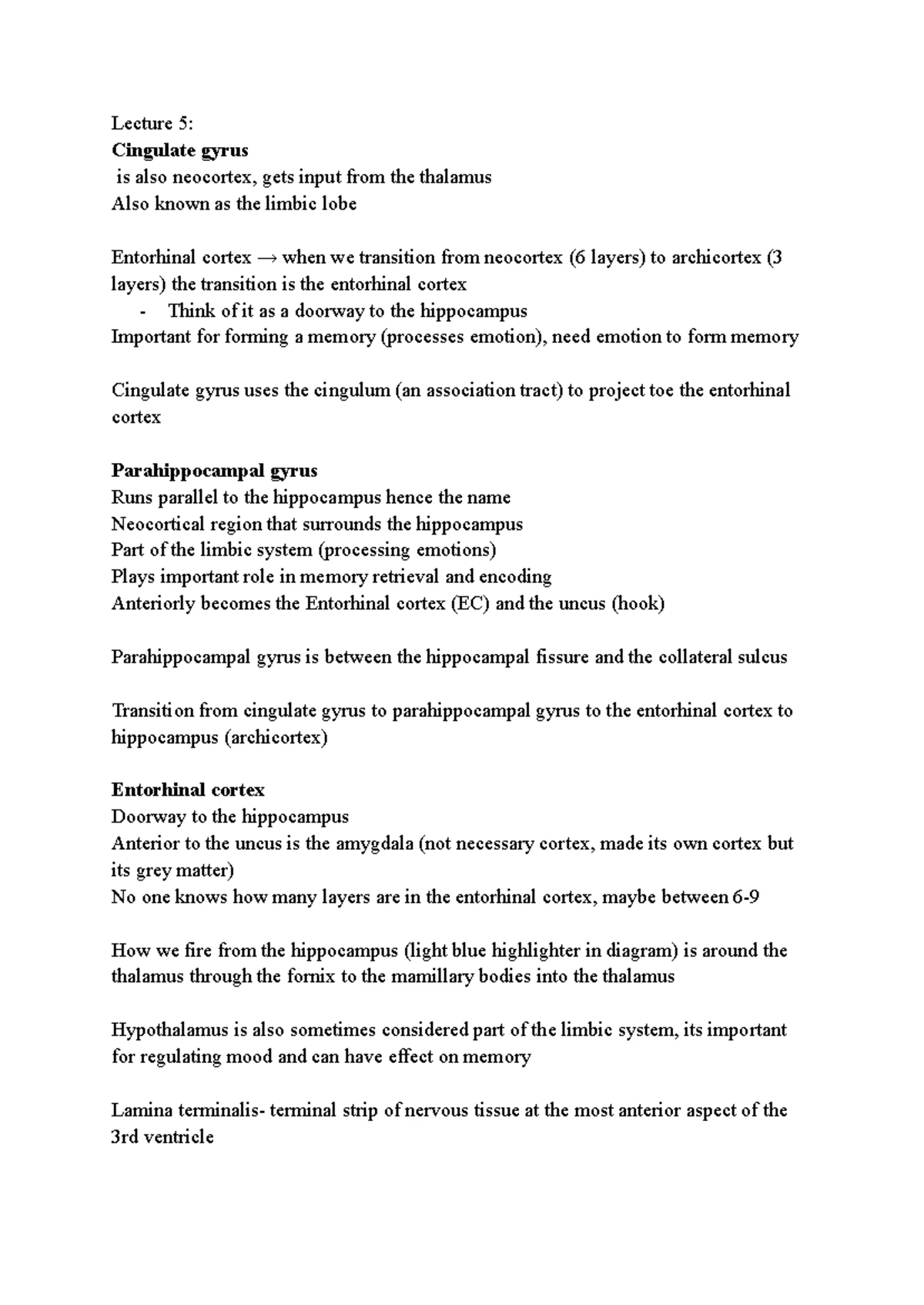 Lamb Brain Dissection Guide for 3003NSC Neuroanatomy Lab - Studocu