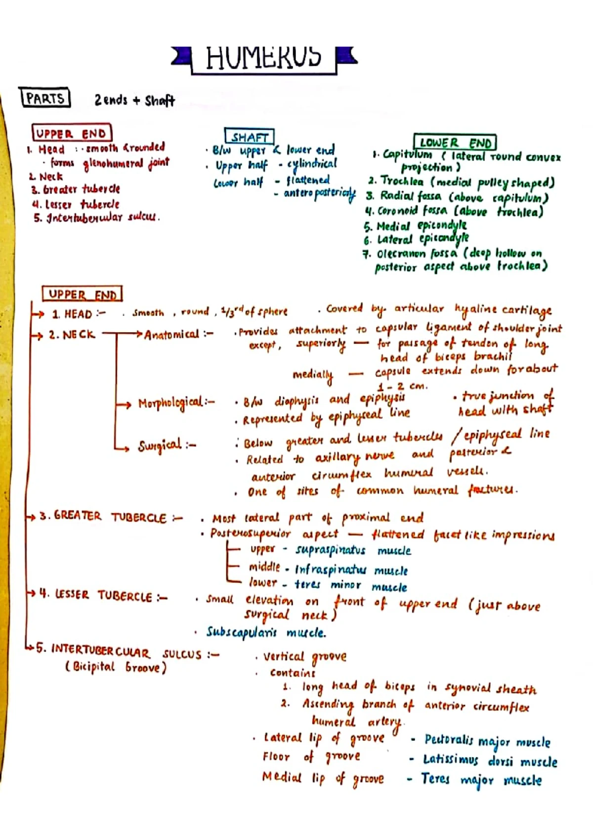 IAP UG Teaching Slides: Development and Assessment Overview - Studocu