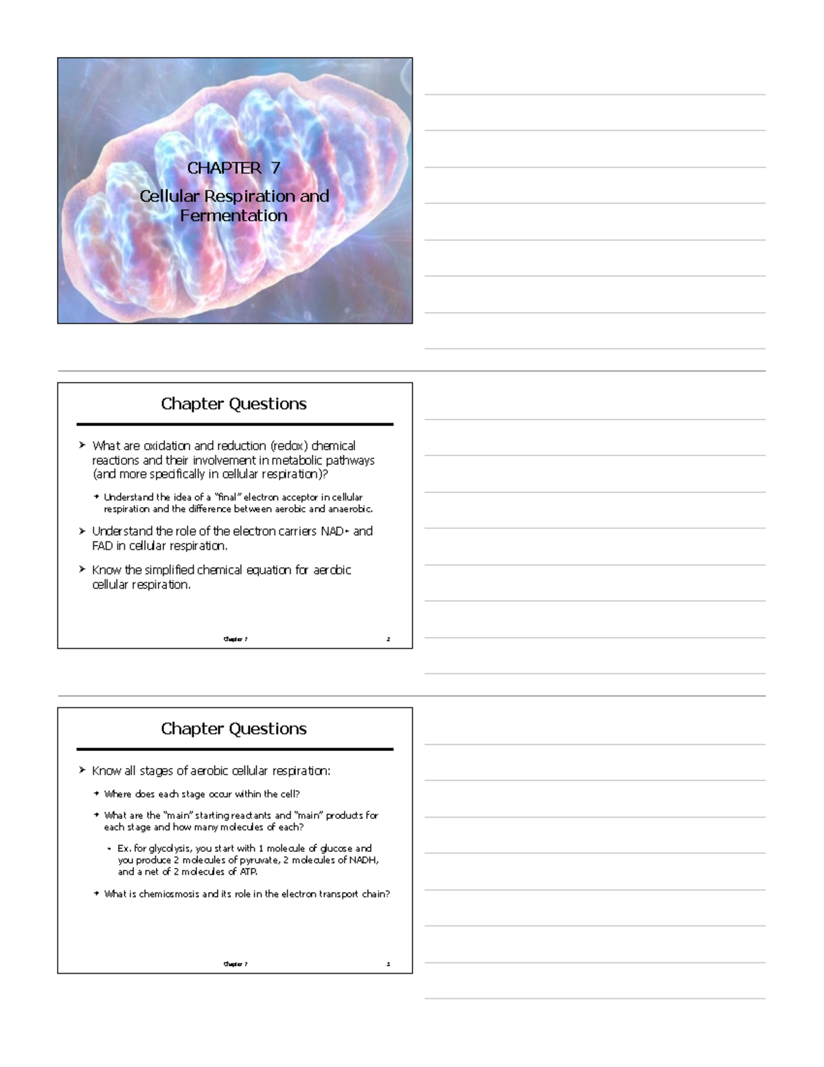 CH 7 Cellular Respiration & Fermentation: Key Concepts & Questions ...