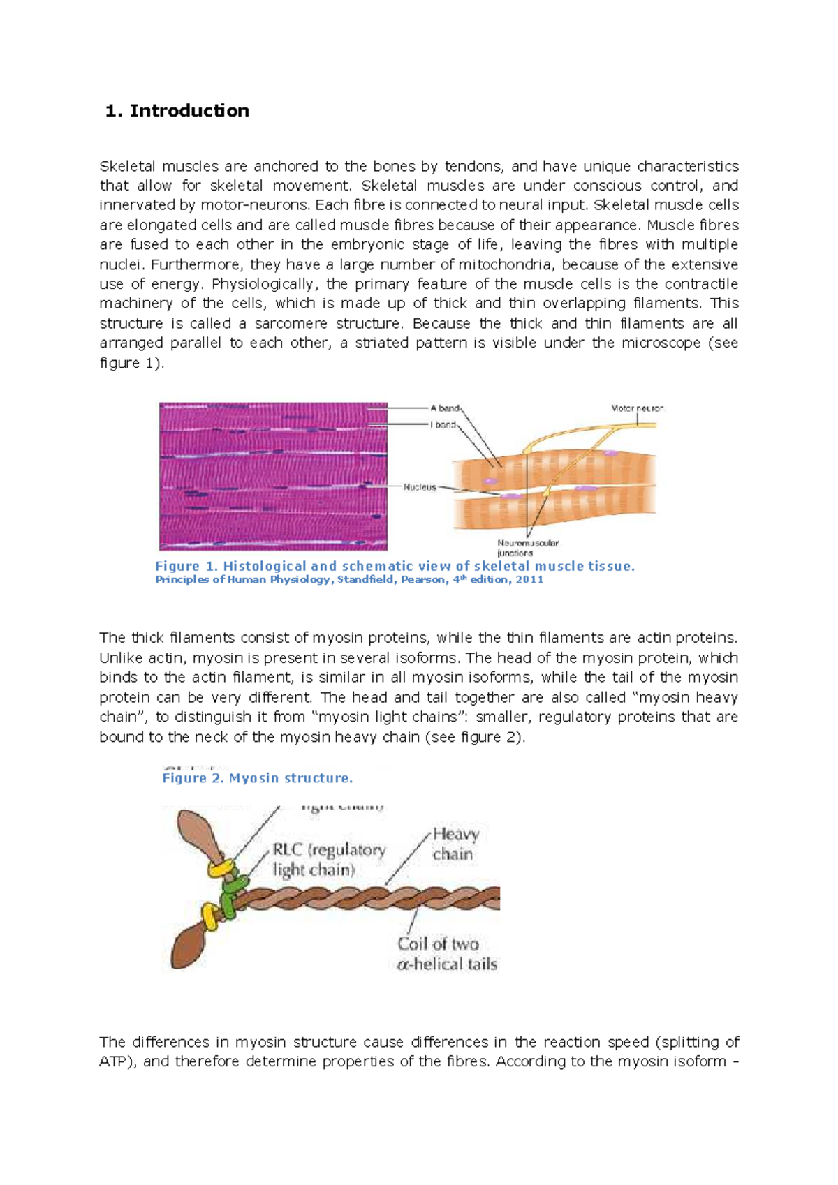 Practical Study of Skeletal Muscle Structure and Function: Insights and ...