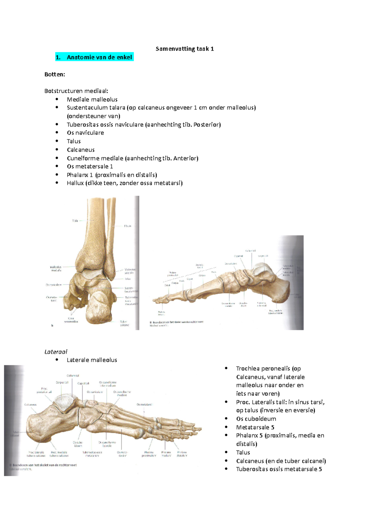 Samenvatting Taak 1: Anatomie en Pathologie van Enkelklachten - Studeersnel