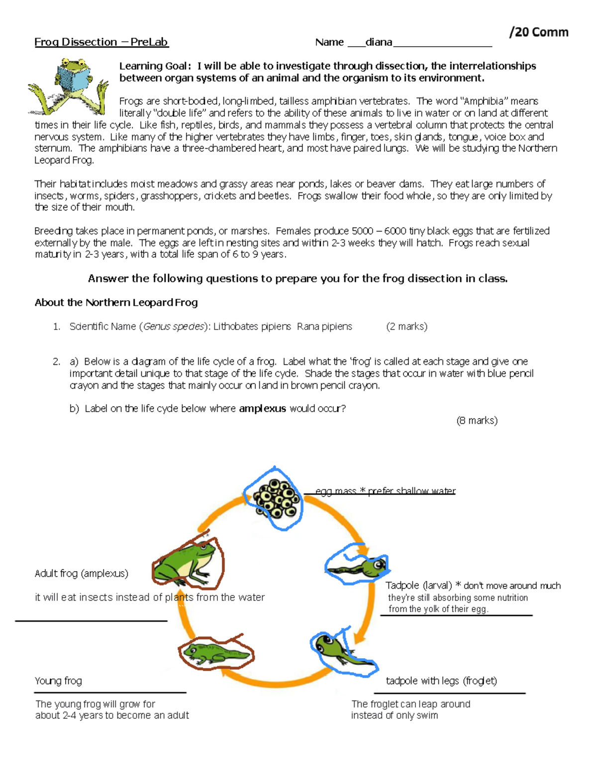 Frog Dissection Prelab (Biology 101): Study of the Northern Leopard ...