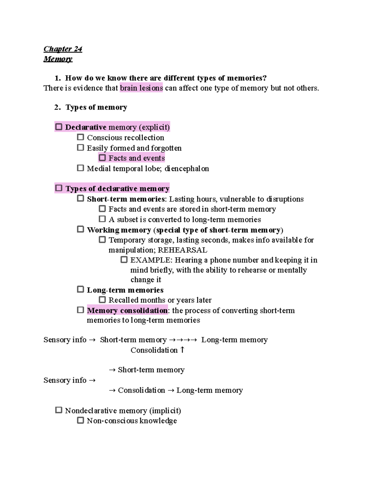 Neuroscience 101: Chapter 24 - Understanding Memory Types and Functions ...