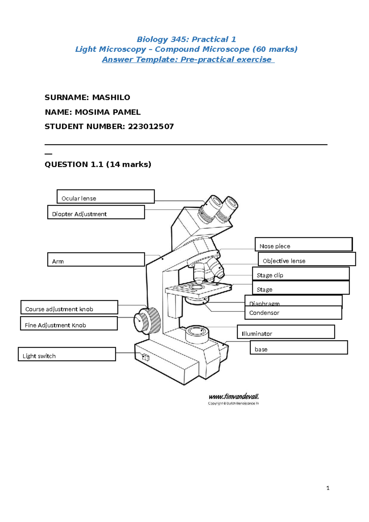 Biology 345: Practical 1 - Light Microscopy Techniques and Answers ...