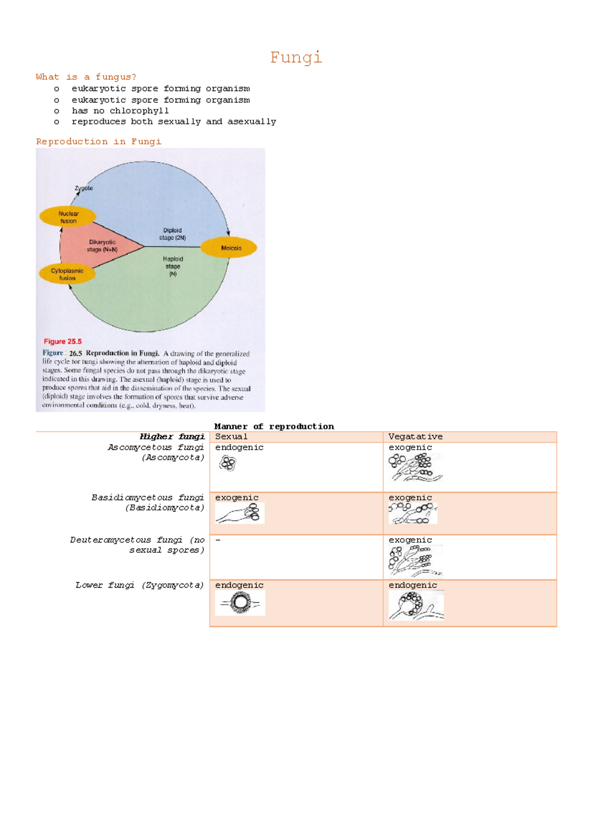 Microbiology 244 Lecture Notes: Weeks 8-10 on Fungi and Protists - Studocu