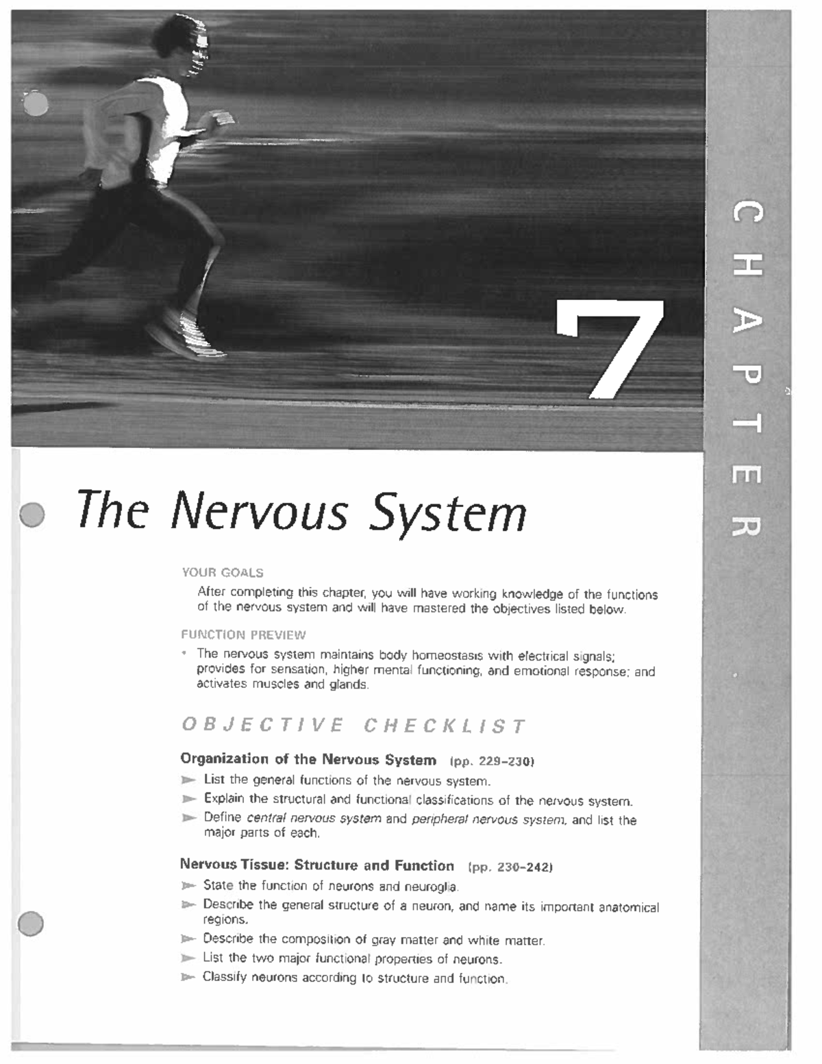 Chapter 7: The nervous system overview and key functions - Studocu