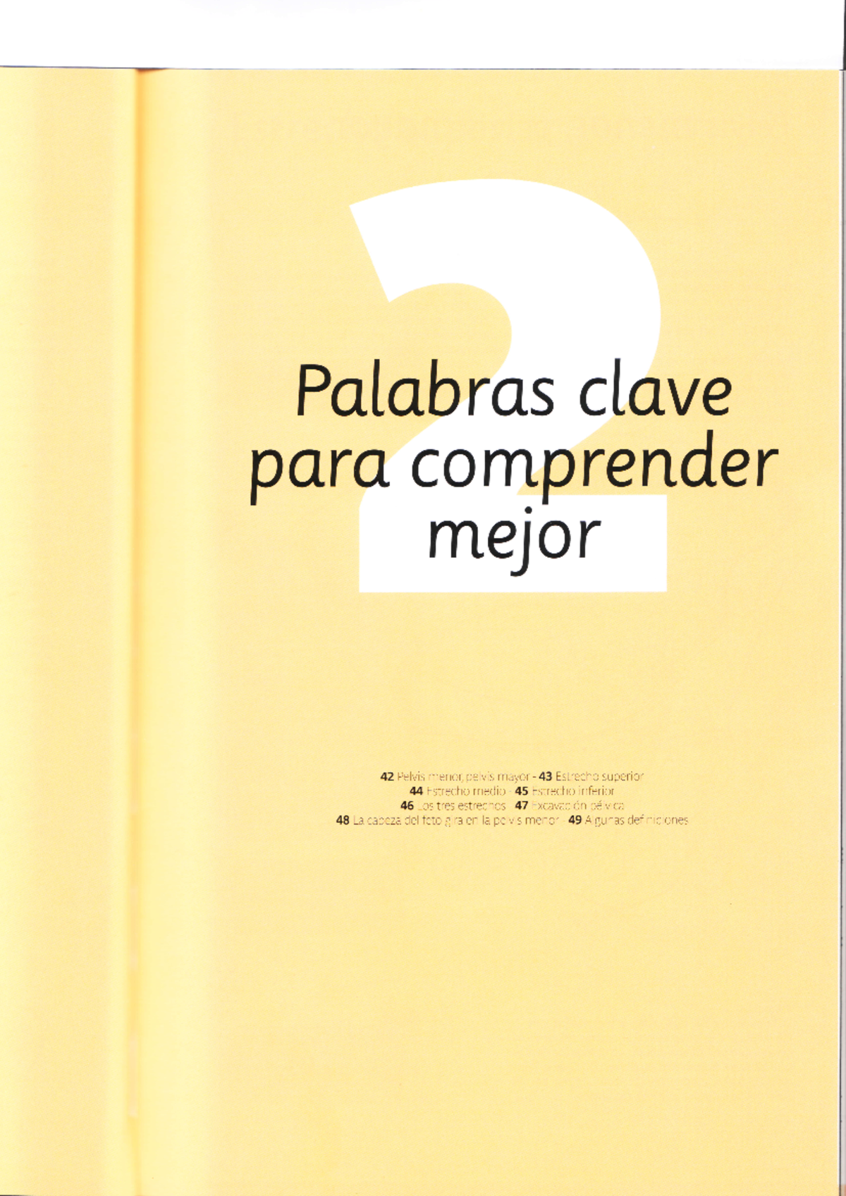 Estudio de la Pelvis y los Movimientos en el Parto - Parir en ...