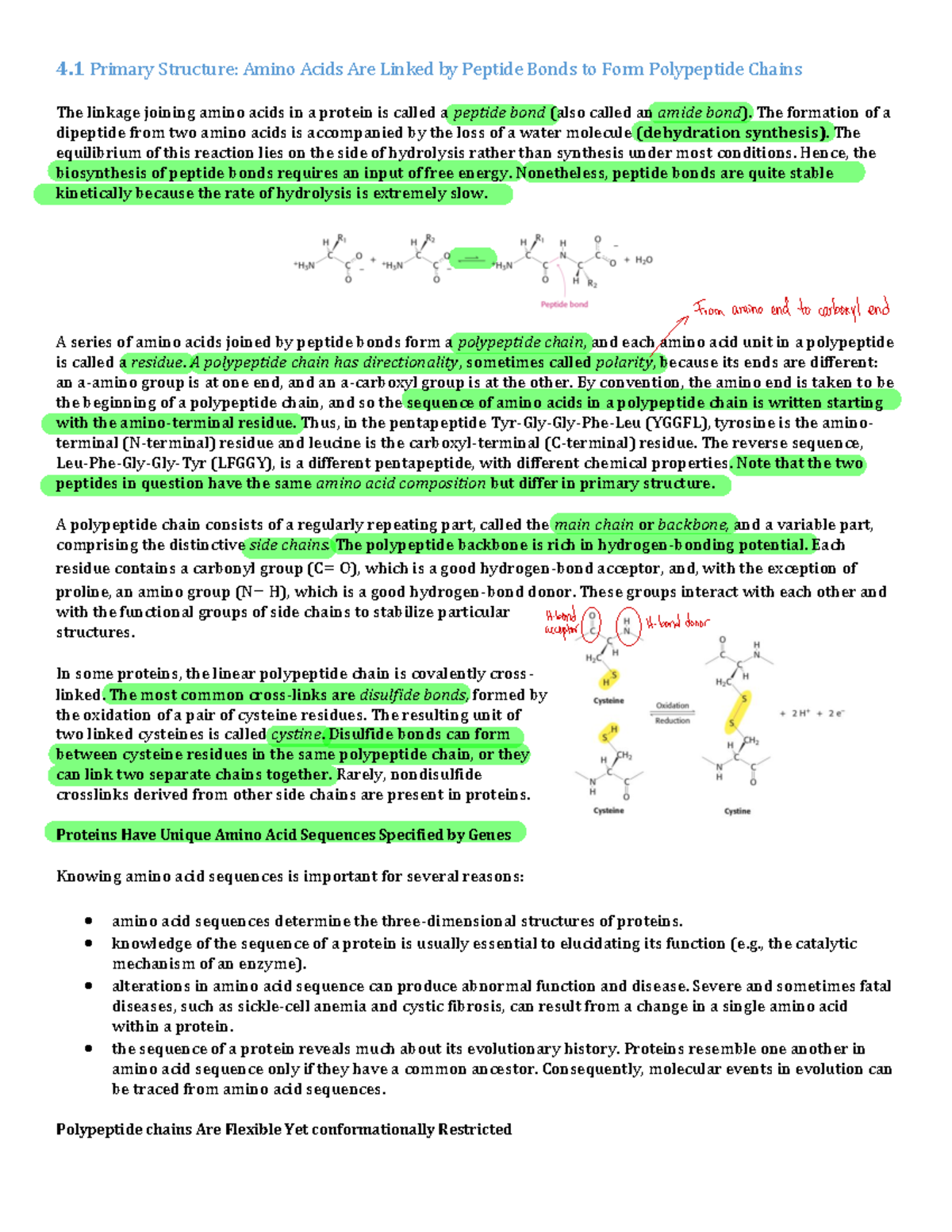 Chapter 4 - Protein Structure: Understanding Primary to Quaternary ...