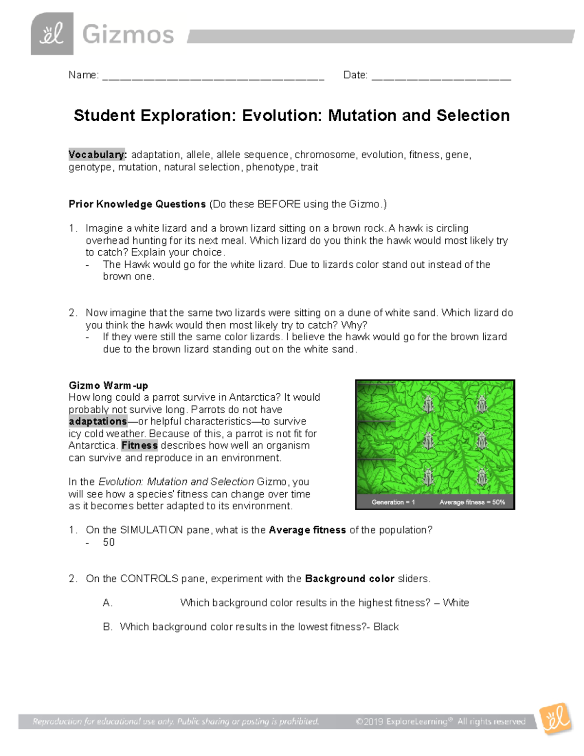 Evolution Mutation Selection SE - Name ...