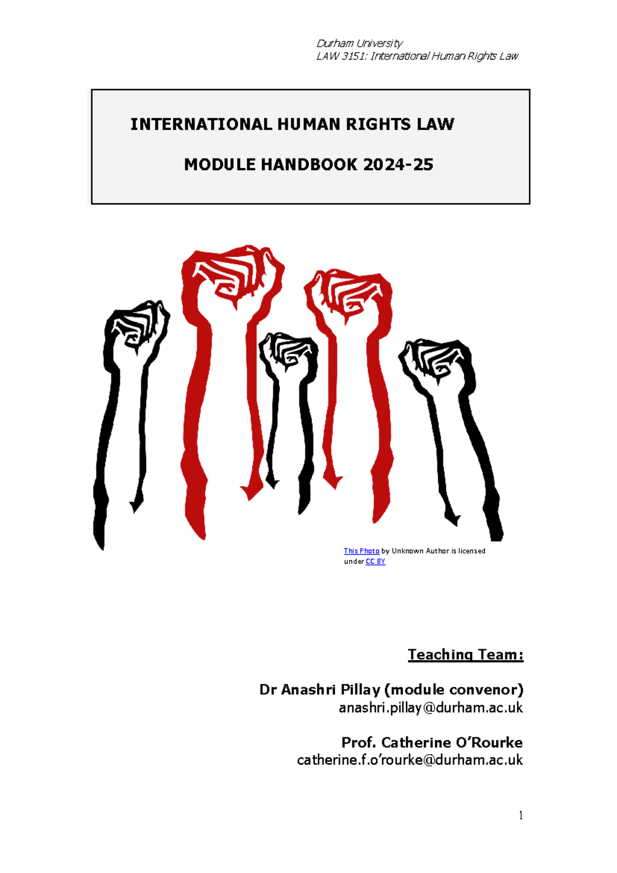LAW 3151 Module Handbook 2024-25: International Human Rights Law - Studocu
