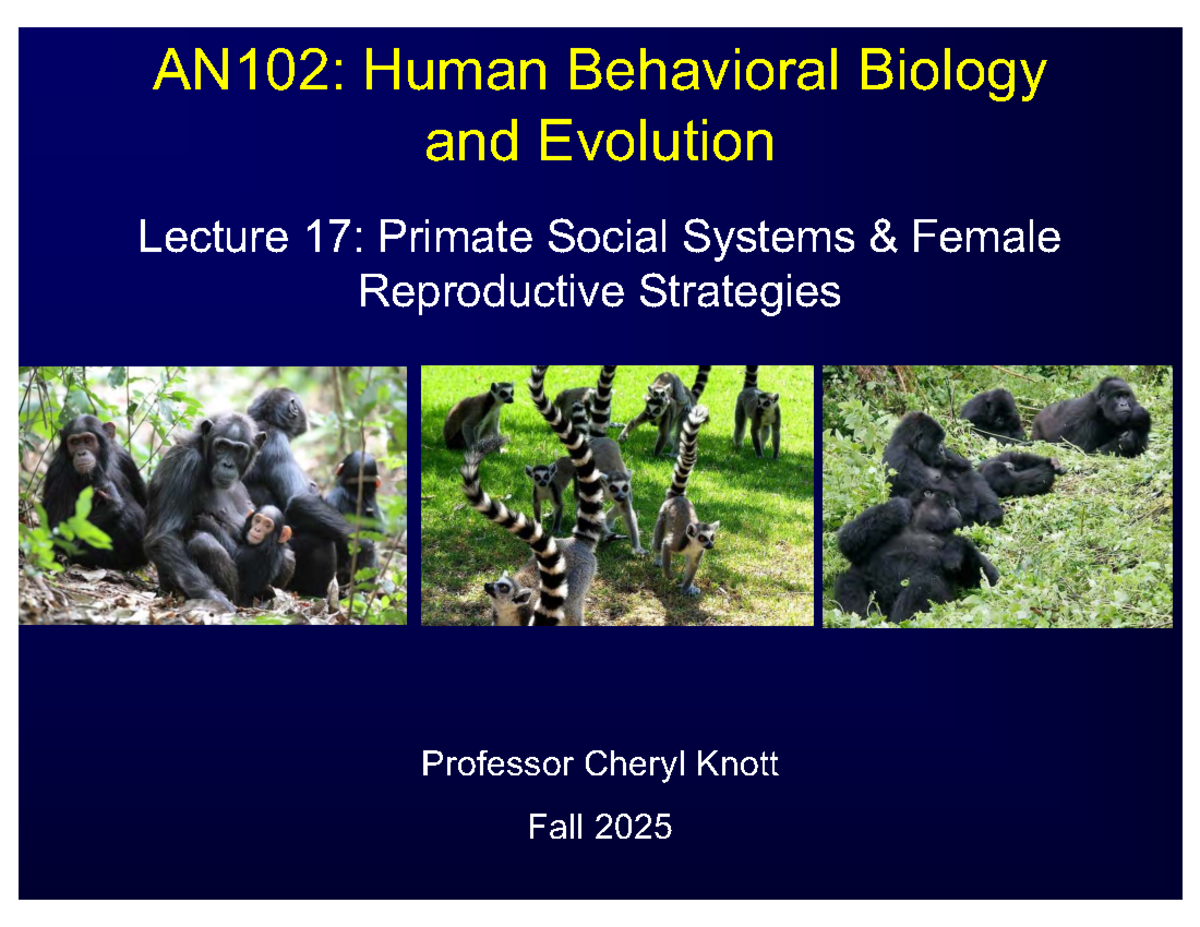 AN102: Final Lecture on Primate Social Systems & Female Reproductive ...